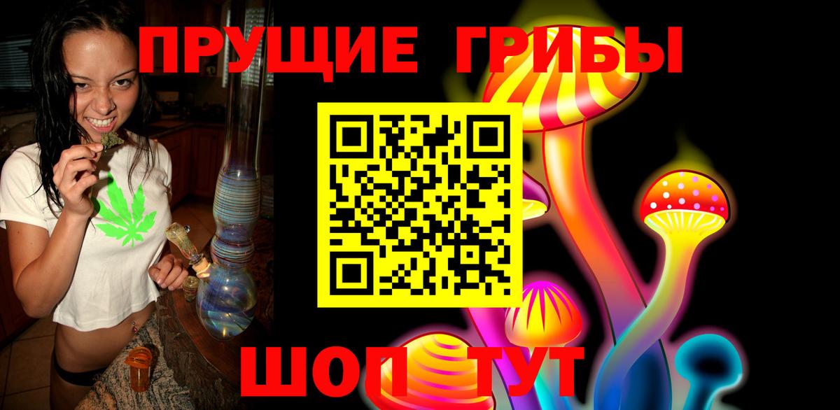 Пушкино  Псилоцибиновые грибы прущие грибы  Вход с VPN 